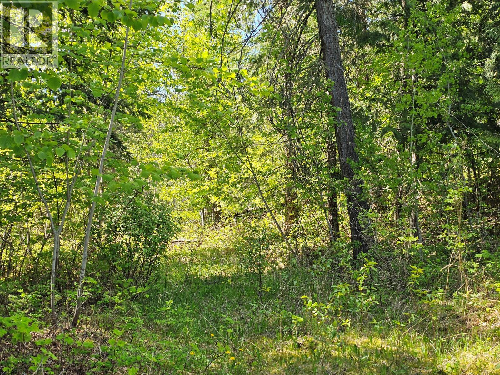 4402 Leopold Road, Scotch Creek, British Columbia  V0E 1M5 - Photo 34 - 10387585