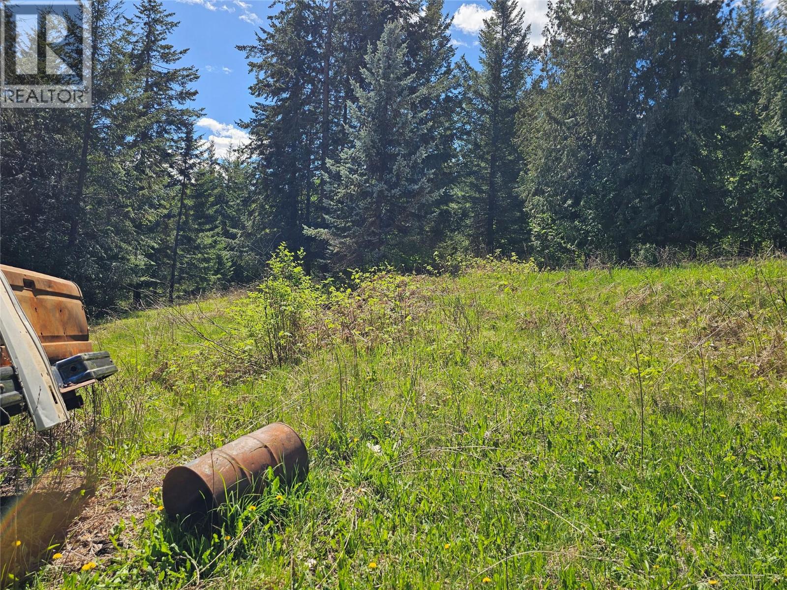 4402 Leopold Road, Scotch Creek, British Columbia  V0E 1M5 - Photo 14 - 10387585