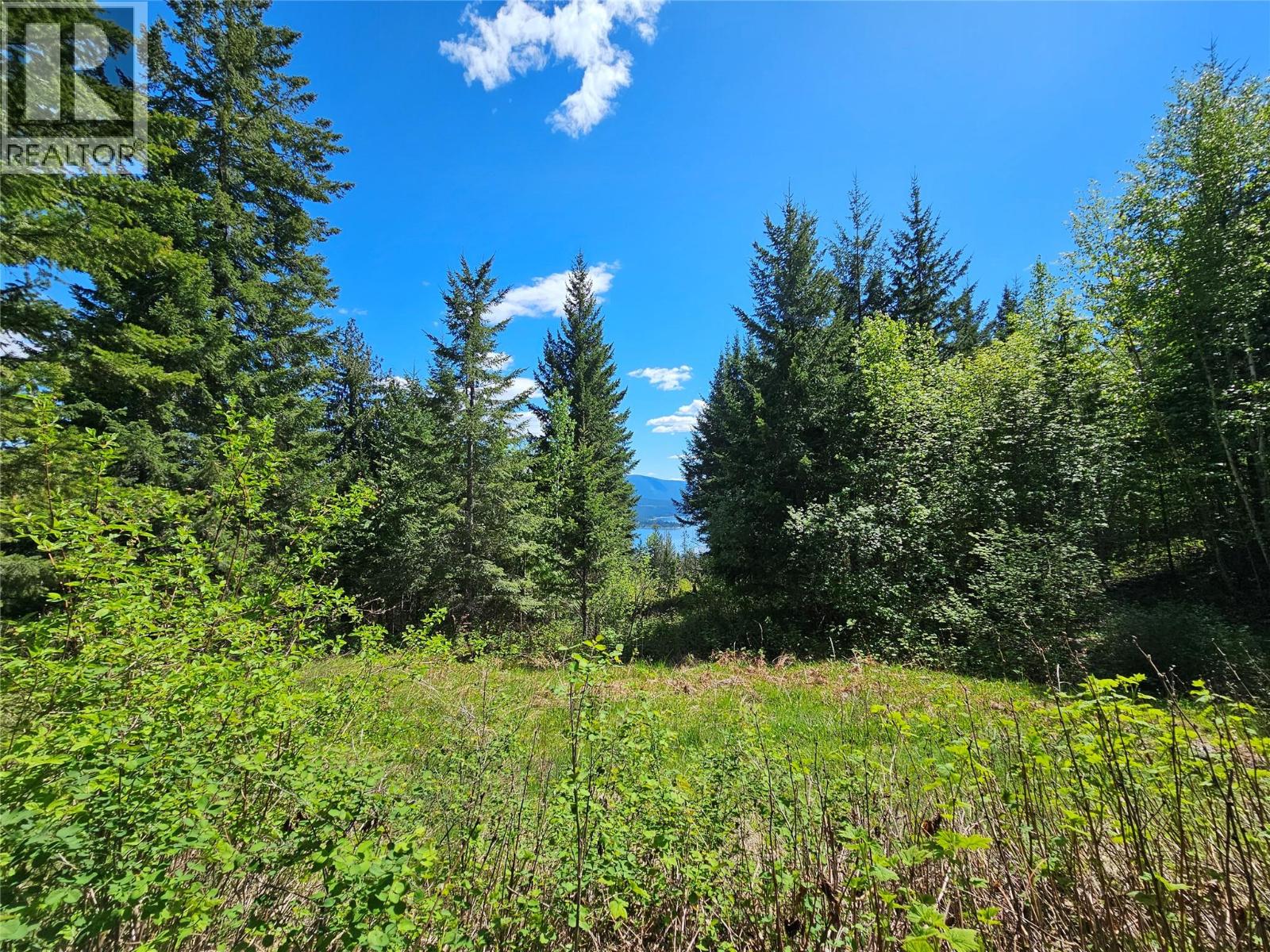 4402 Leopold Road, Scotch Creek, British Columbia  V0E 1M5 - Photo 5 - 10387585