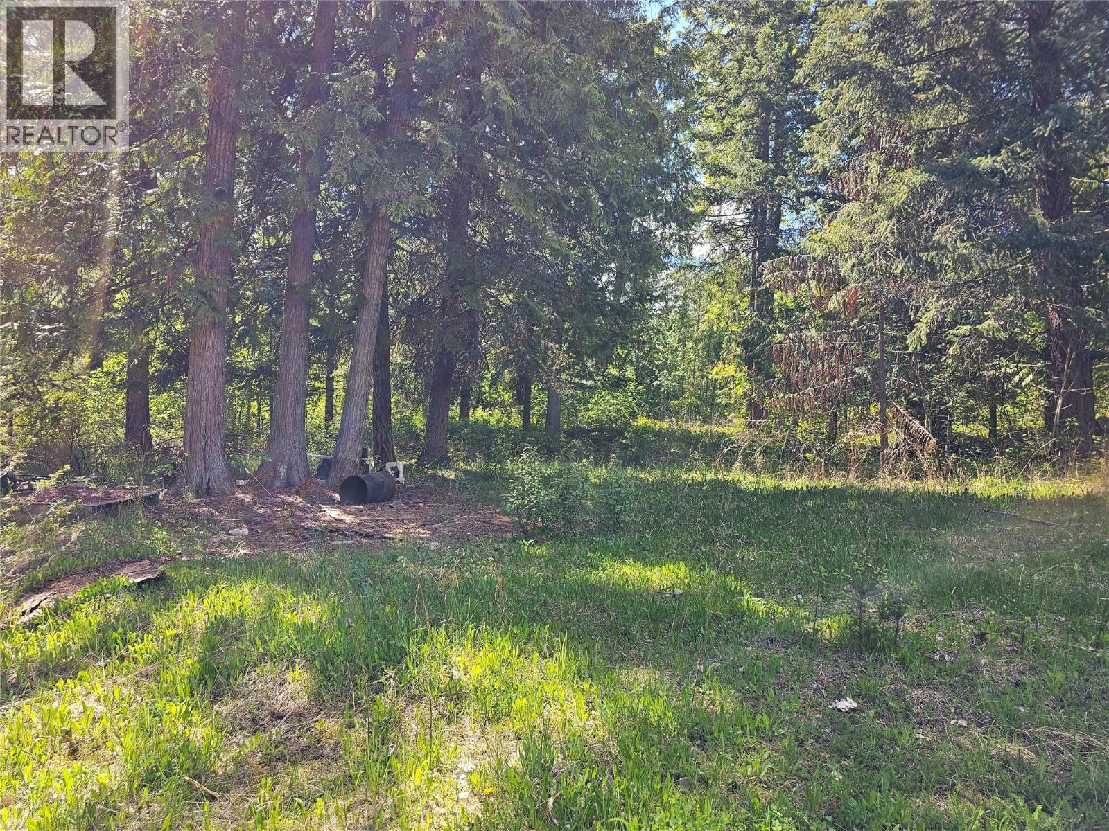 4402 Leopold Road, Scotch Creek, British Columbia  V0E 1M5 - Photo 29 - 10387585