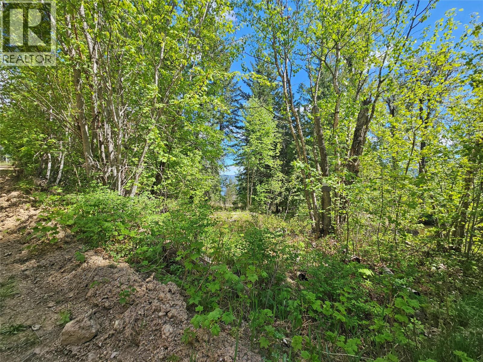 4402 Leopold Road, Scotch Creek, British Columbia  V0E 1M5 - Photo 39 - 10387585