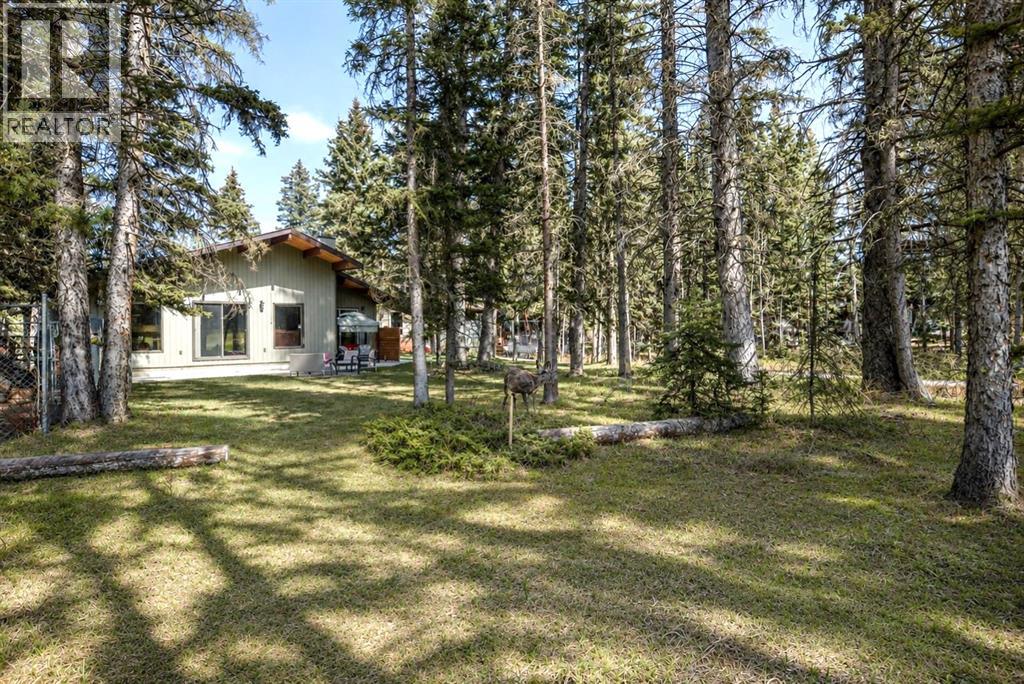 12 Wolf Crescent, Rural Rocky View County, Alberta  T3Z 1A3 - Photo 43 - A2311257