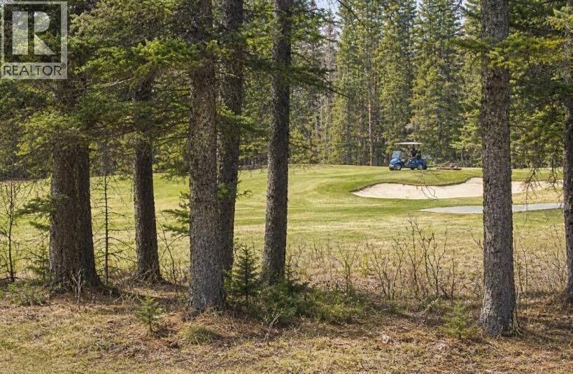 12 Wolf Crescent, Rural Rocky View County, Alberta  T3Z 1A3 - Photo 47 - A2311257