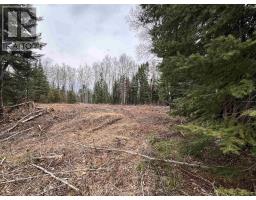 15 & 17 McManus ST, Balmertown, Ontario