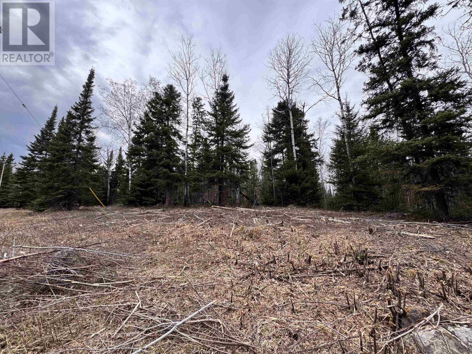 15 & 17 Mcmanus St, Balmertown, Ontario P0V 1C0 - Photo 4 - TB2601060