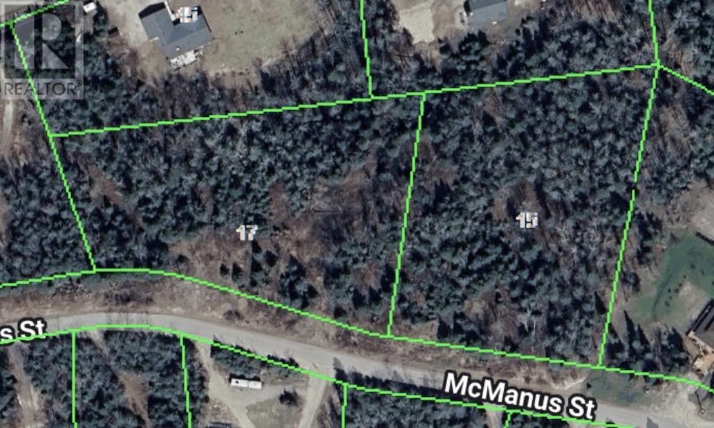 15 & 17 Mcmanus St, Balmertown, Ontario P0V 1C0 - Photo 2 - TB2601060
