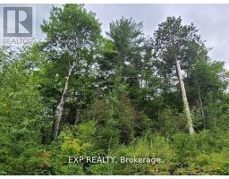 20 PEPLINSKIE HOMESTEAD ROAD, Madawaska Valley, Ontario