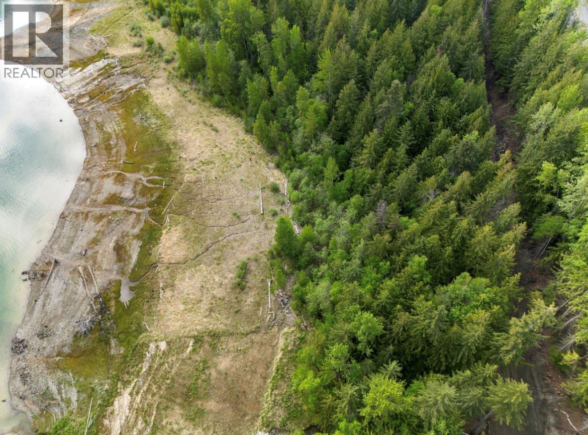 Lot B 23 Highway N, Nakusp, British Columbia  V0G 1R1 - Photo 10 - 10387798