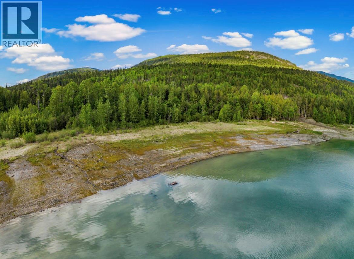 Lot B 23 Highway N, Nakusp, British Columbia  V0G 1R1 - Photo 11 - 10387798