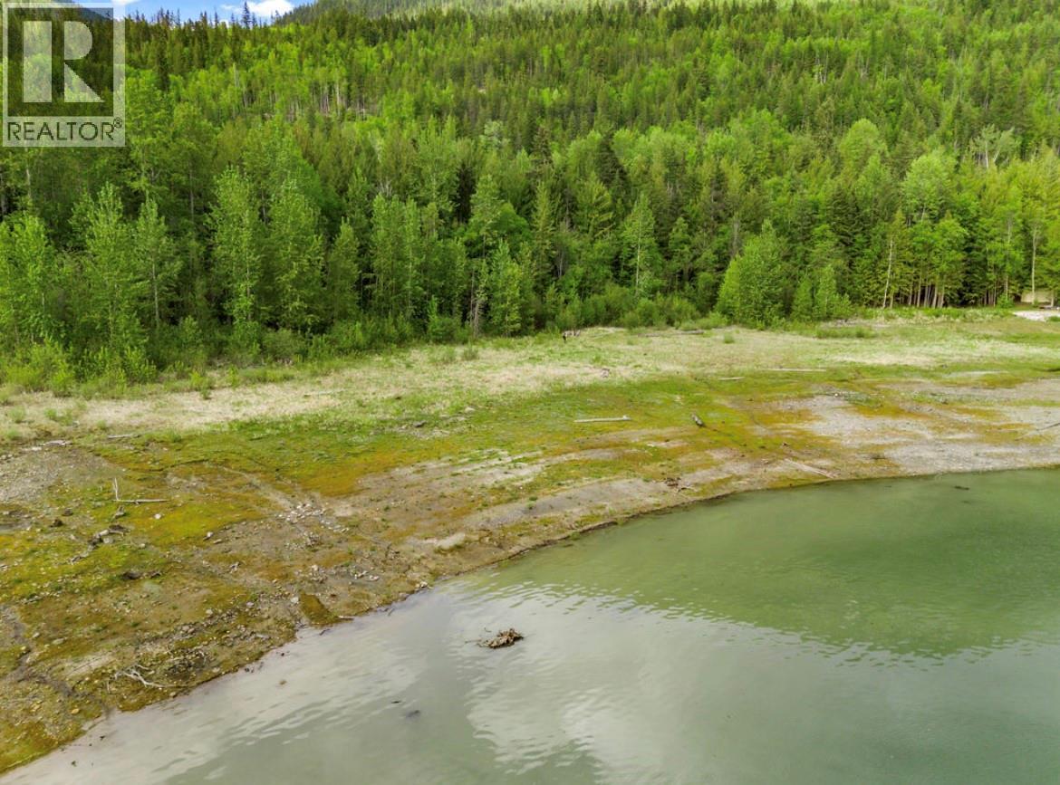 Lot B 23 Highway N, Nakusp, British Columbia  V0G 1R1 - Photo 14 - 10387798