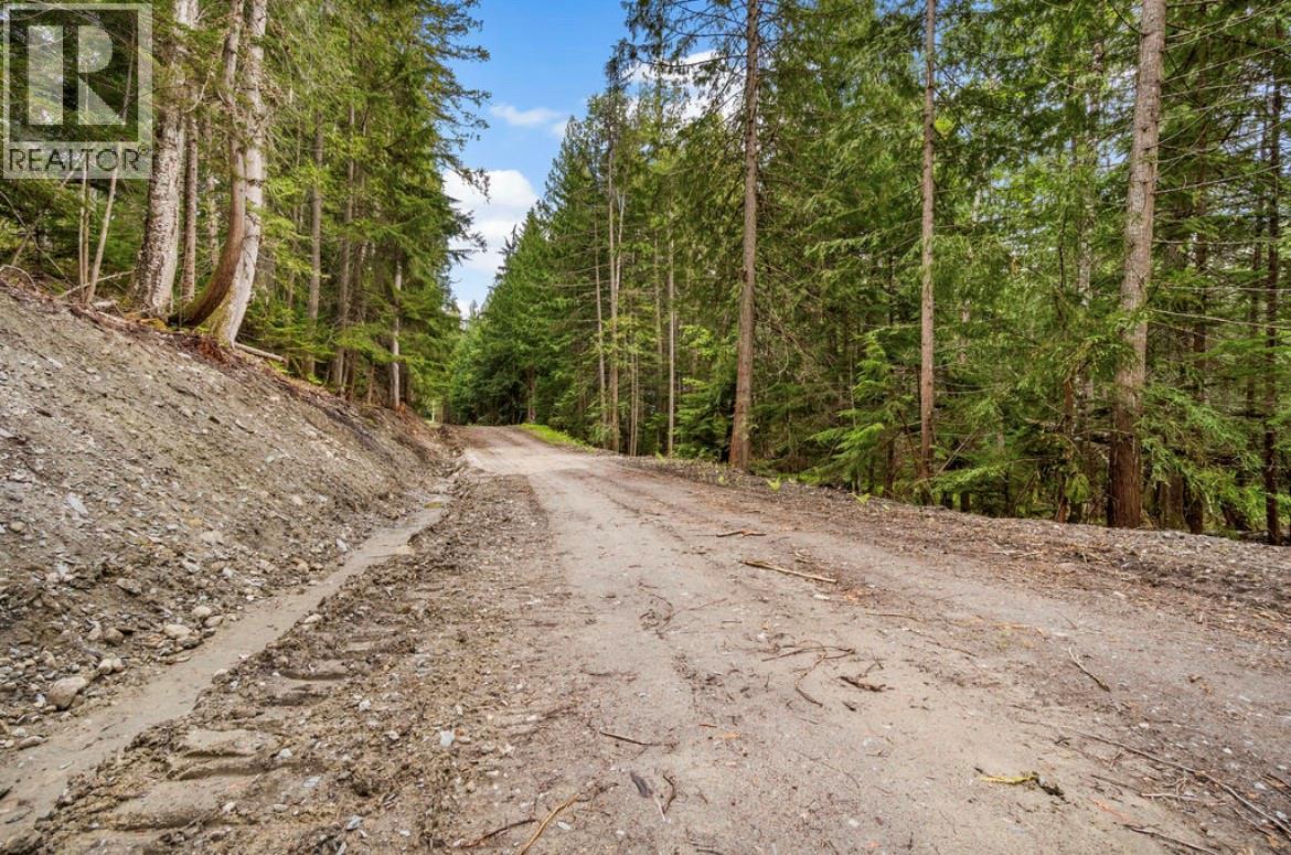 Lot B 23 Highway N, Nakusp, British Columbia  V0G 1R1 - Photo 6 - 10387798