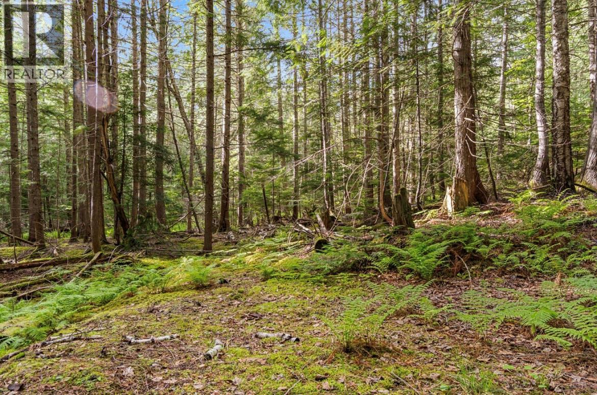 Lot B 23 Highway N, Nakusp, British Columbia  V0G 1R1 - Photo 7 - 10387798