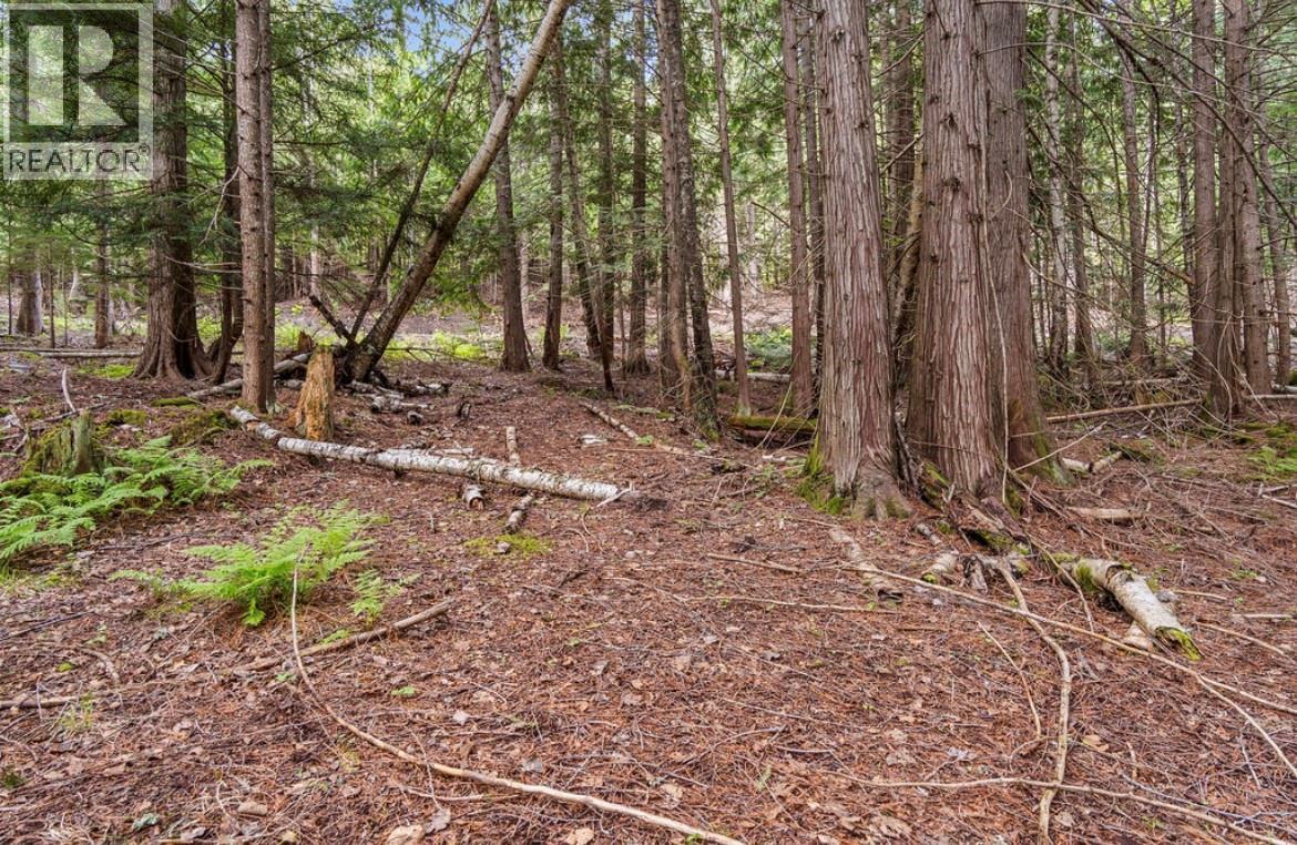 Lot B 23 Highway N, Nakusp, British Columbia  V0G 1R1 - Photo 8 - 10387798