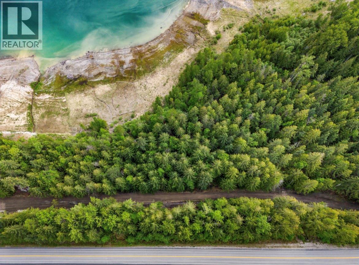 Lot B 23 Highway N, Nakusp, British Columbia  V0G 1R1 - Photo 9 - 10387798