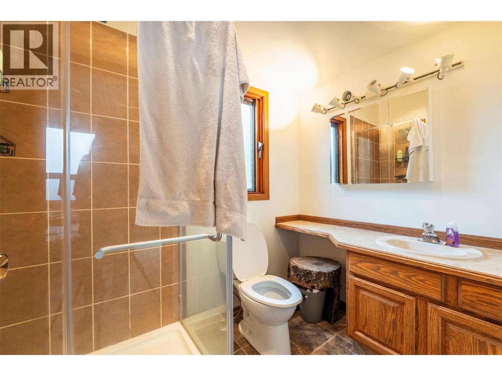 703 West Innes Street, Nelson, British Columbia  V1L 3J4 - Photo 20 - 10387679
