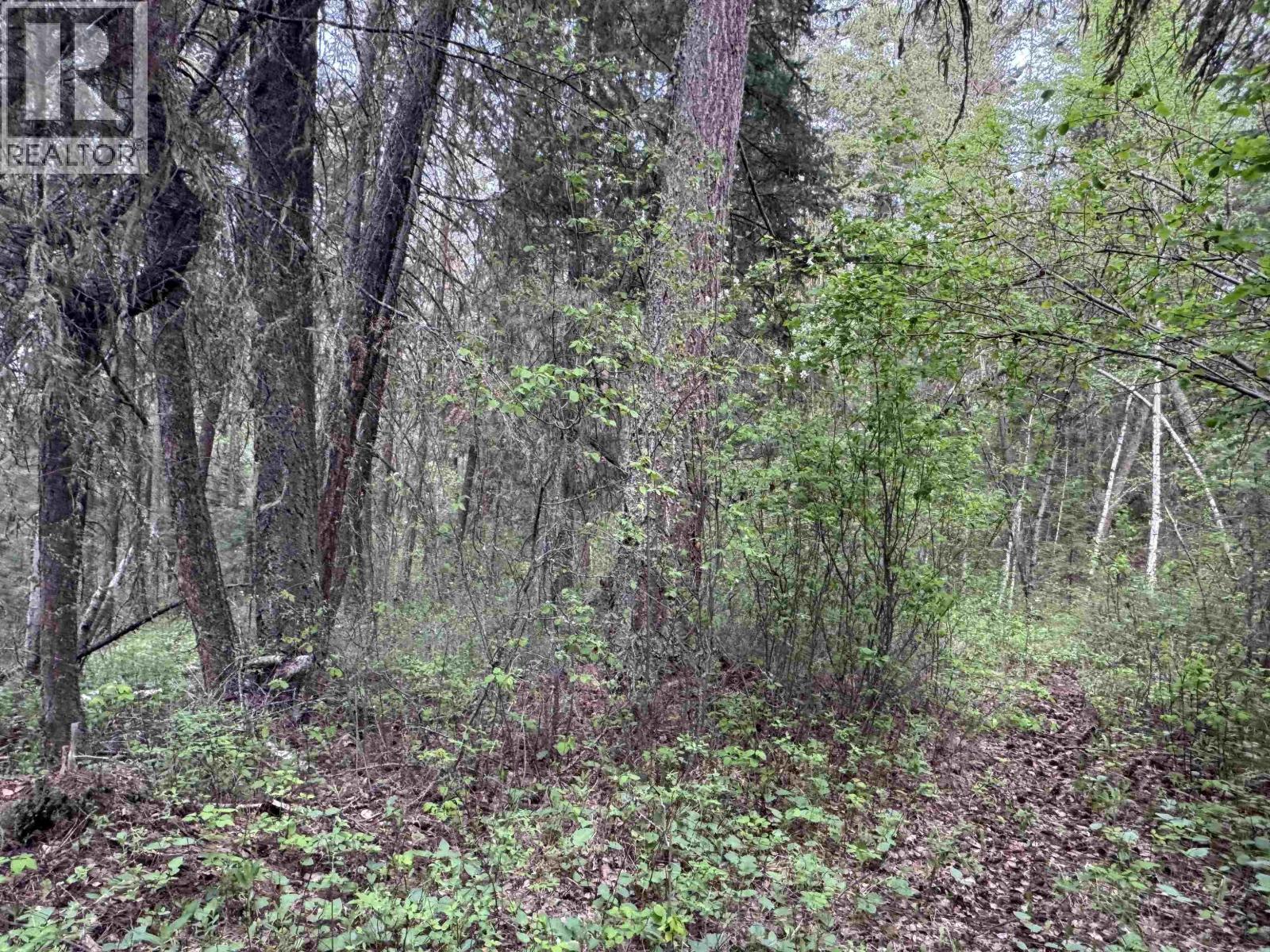 550 Dog Creek Road, Williams Lake, British Columbia  V2G 3P9 - Photo 10 - R3124430