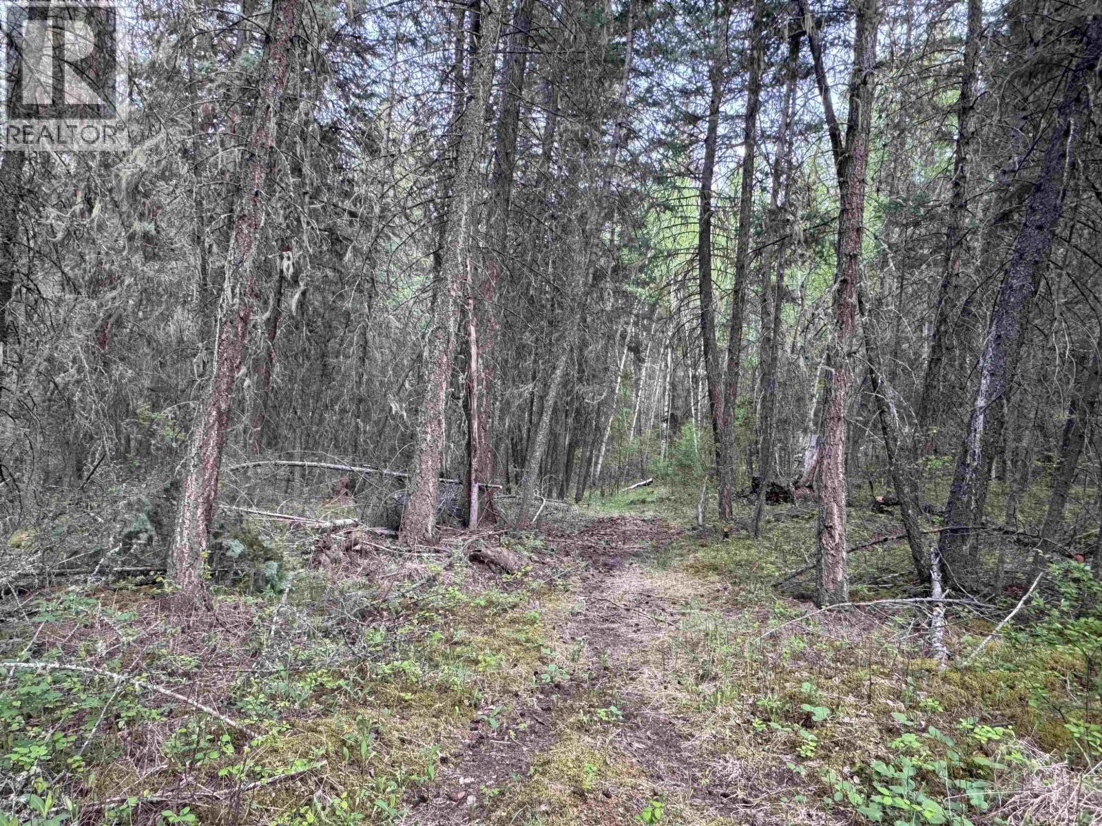 550 Dog Creek Road, Williams Lake, British Columbia  V2G 3P9 - Photo 11 - R3124430