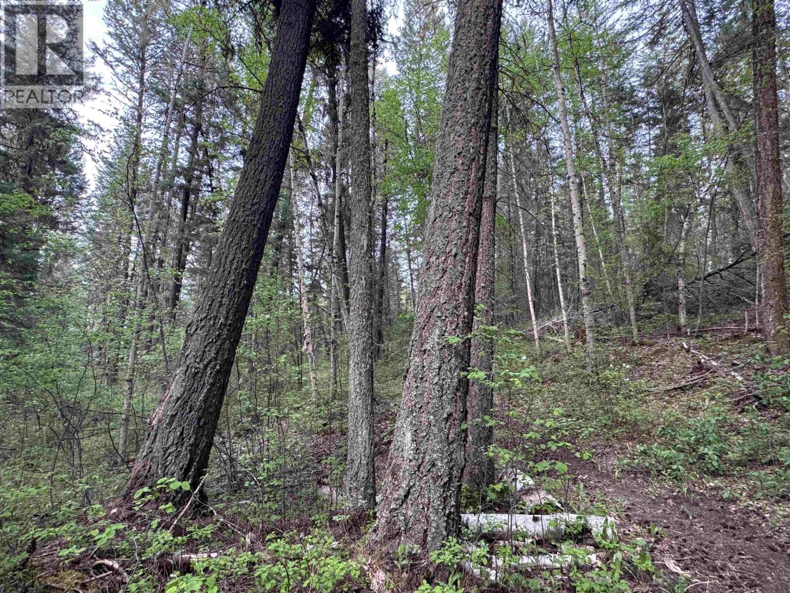 550 Dog Creek Road, Williams Lake, British Columbia  V2G 3P9 - Photo 12 - R3124430