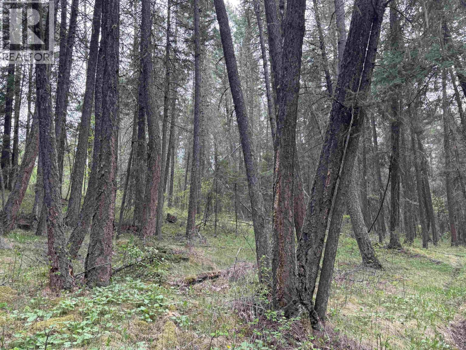 550 Dog Creek Road, Williams Lake, British Columbia  V2G 3P9 - Photo 3 - R3124430