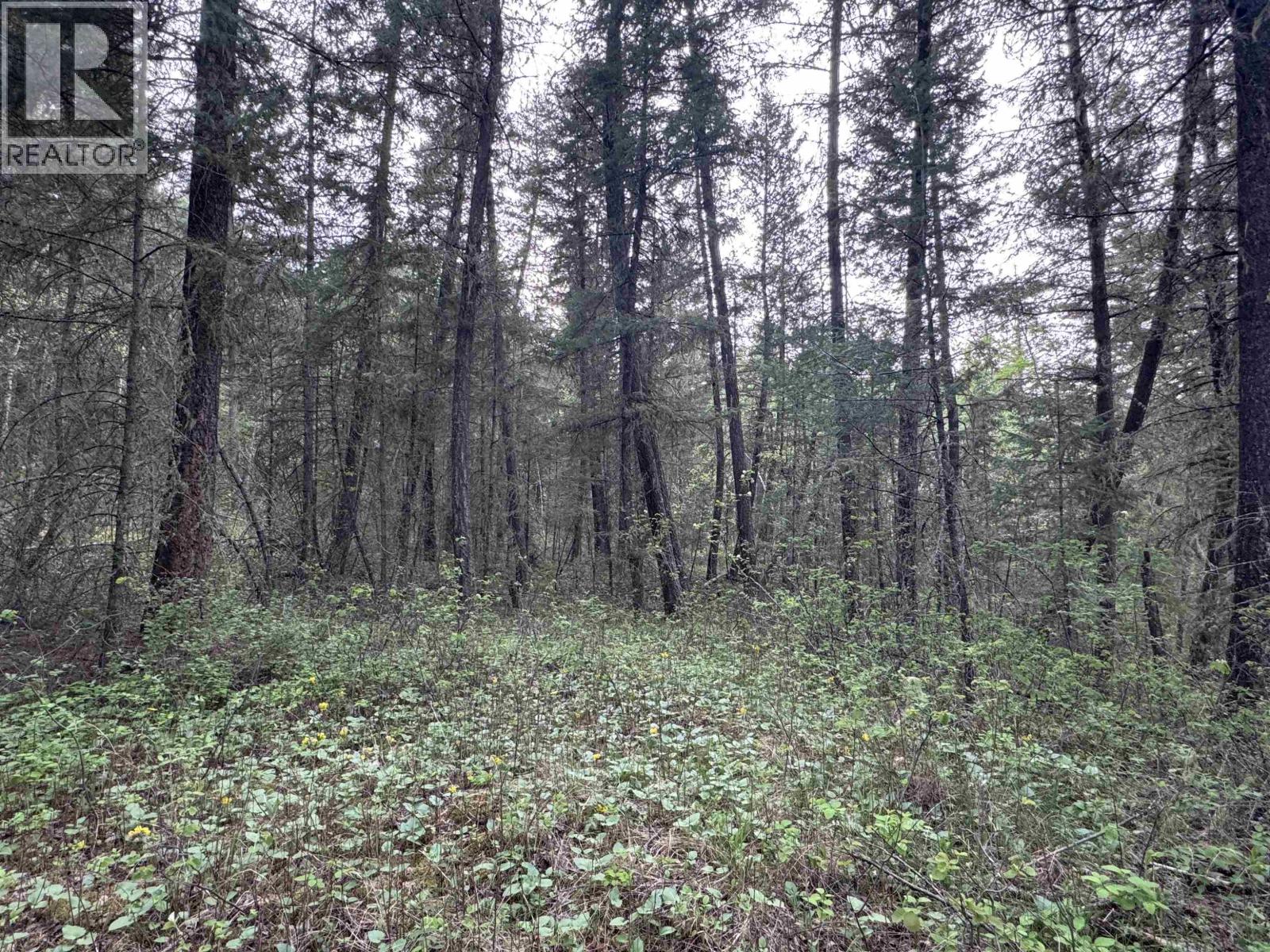 550 Dog Creek Road, Williams Lake, British Columbia  V2G 3P9 - Photo 5 - R3124430