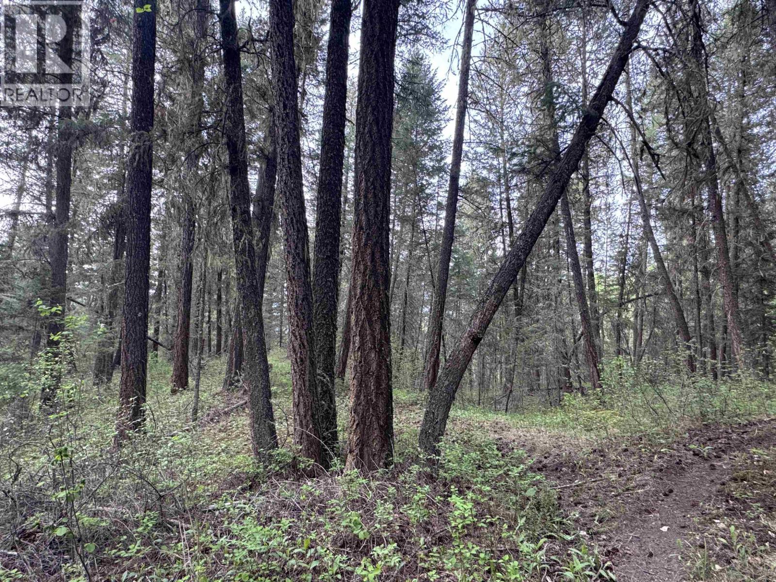550 Dog Creek Road, Williams Lake, British Columbia  V2G 3P9 - Photo 6 - R3124430