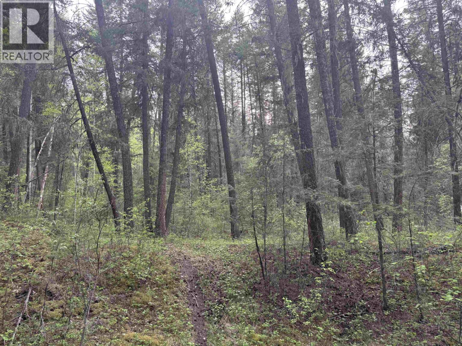 550 Dog Creek Road, Williams Lake, British Columbia  V2G 3P9 - Photo 7 - R3124430