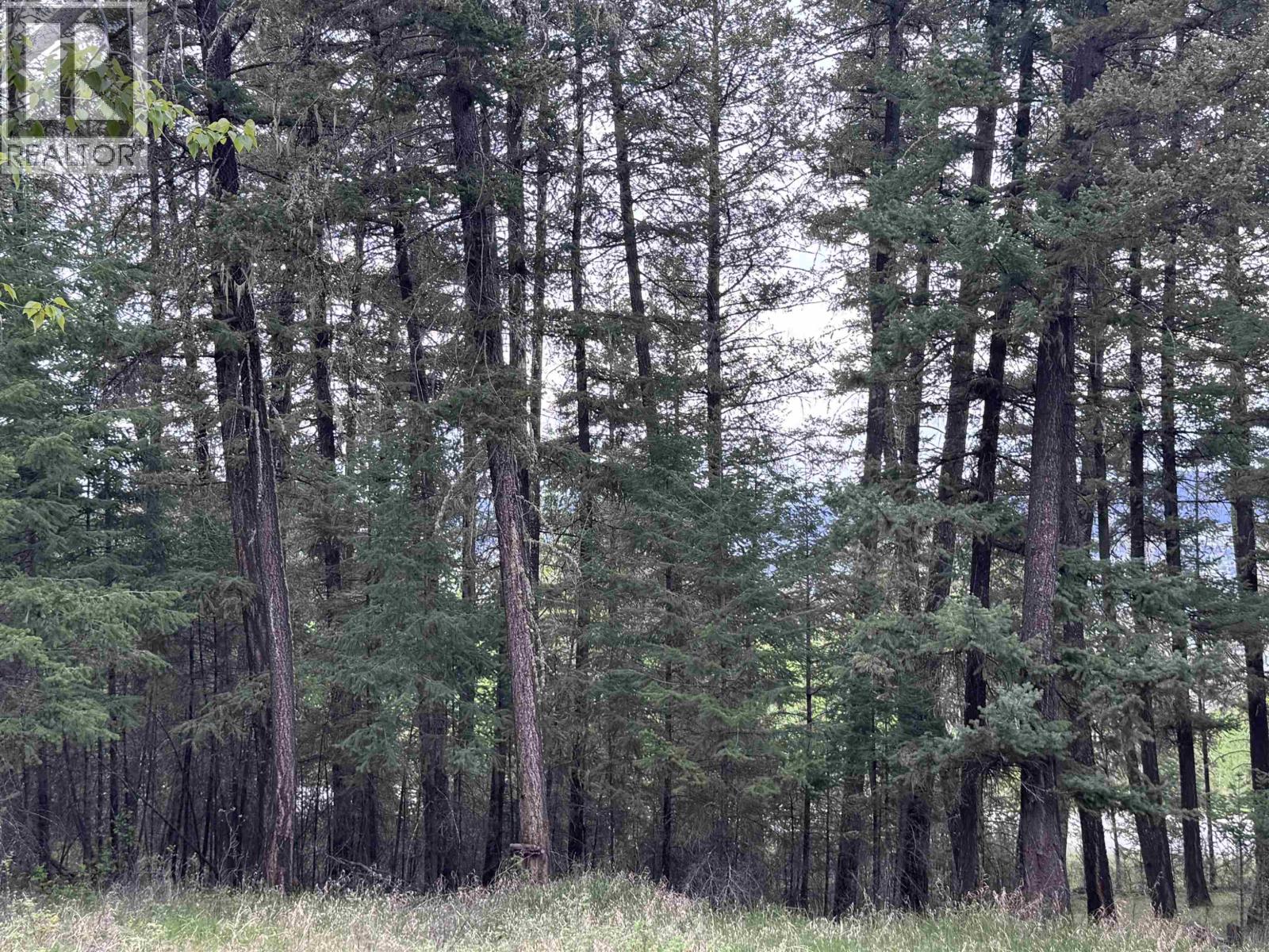550 Dog Creek Road, Williams Lake, British Columbia  V2G 3P9 - Photo 8 - R3124430