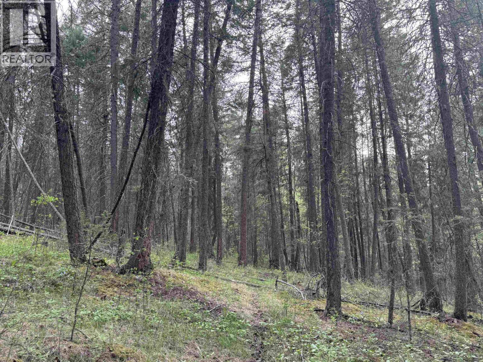 550 Dog Creek Road, Williams Lake, British Columbia  V2G 3P9 - Photo 9 - R3124430