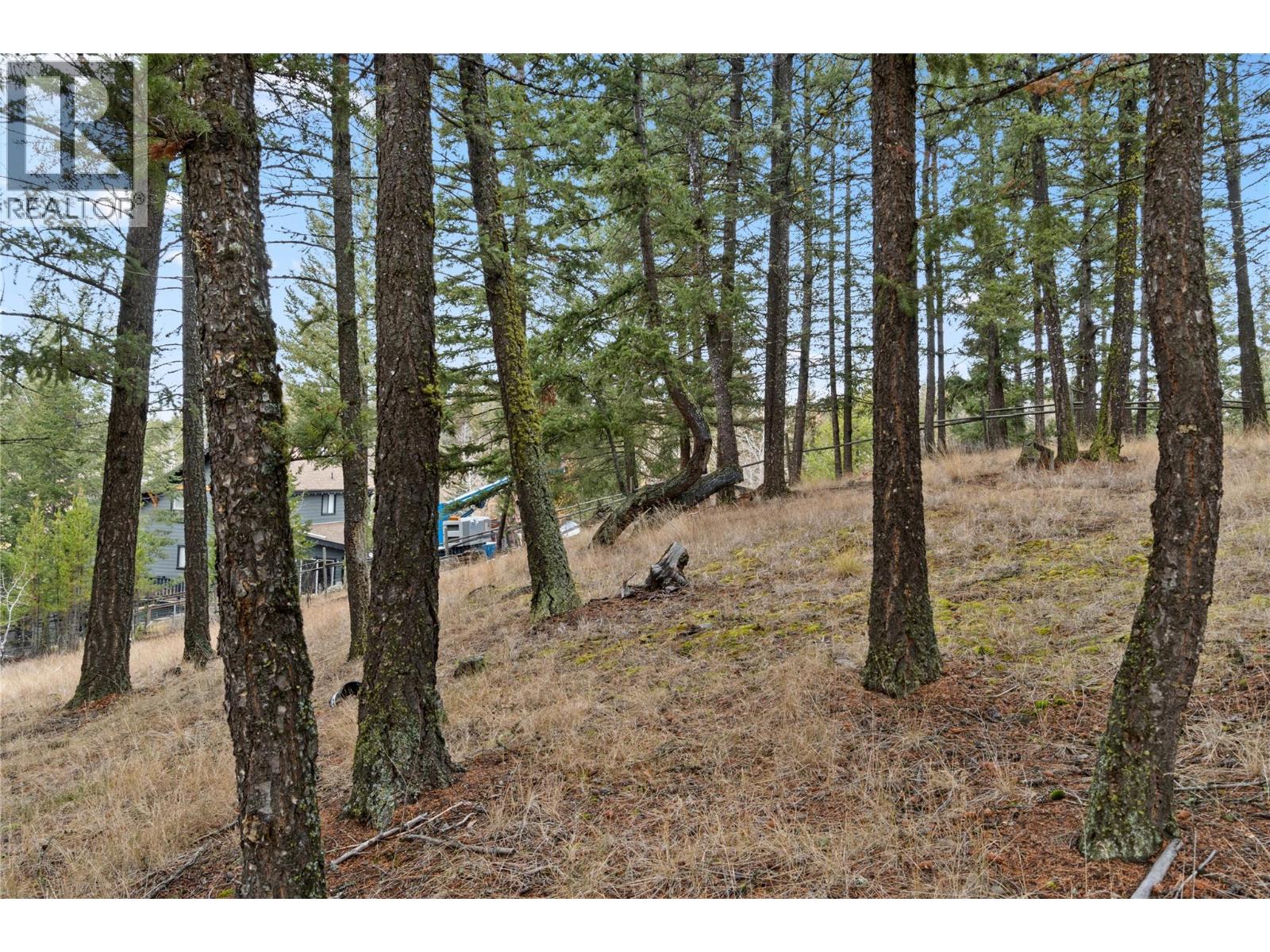 222 Thrissel Place, Logan Lake, British Columbia  V0K 1W0 - Photo 48 - 10387436