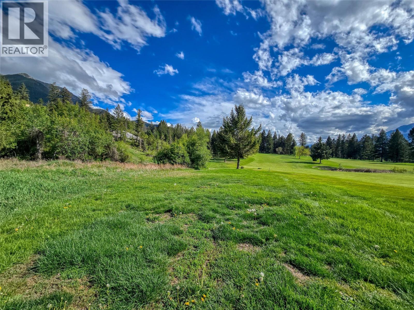 5060 Hot Springs Road, Fairmont Hot Springs, British Columbia  V0B 1L1 - Photo 16 - 10387036