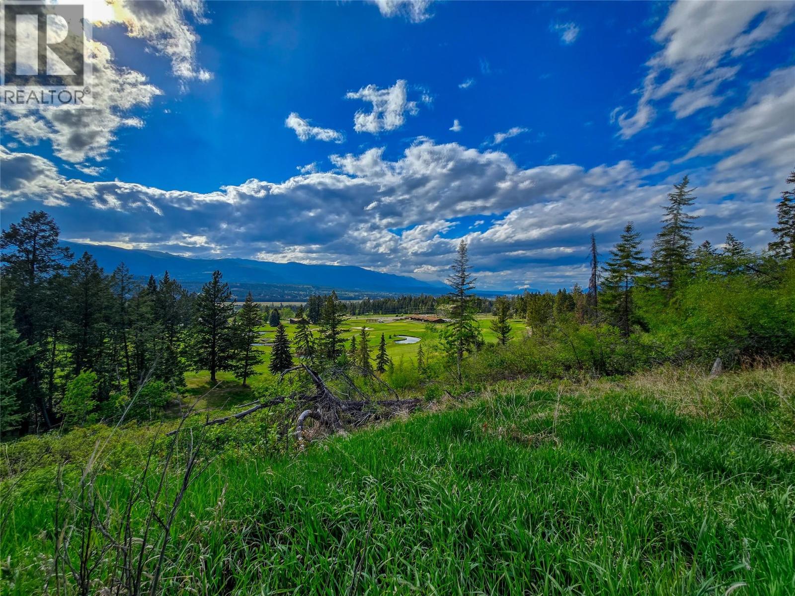 5060 Hot Springs Road, Fairmont Hot Springs, British Columbia  V0B 1L1 - Photo 19 - 10387036