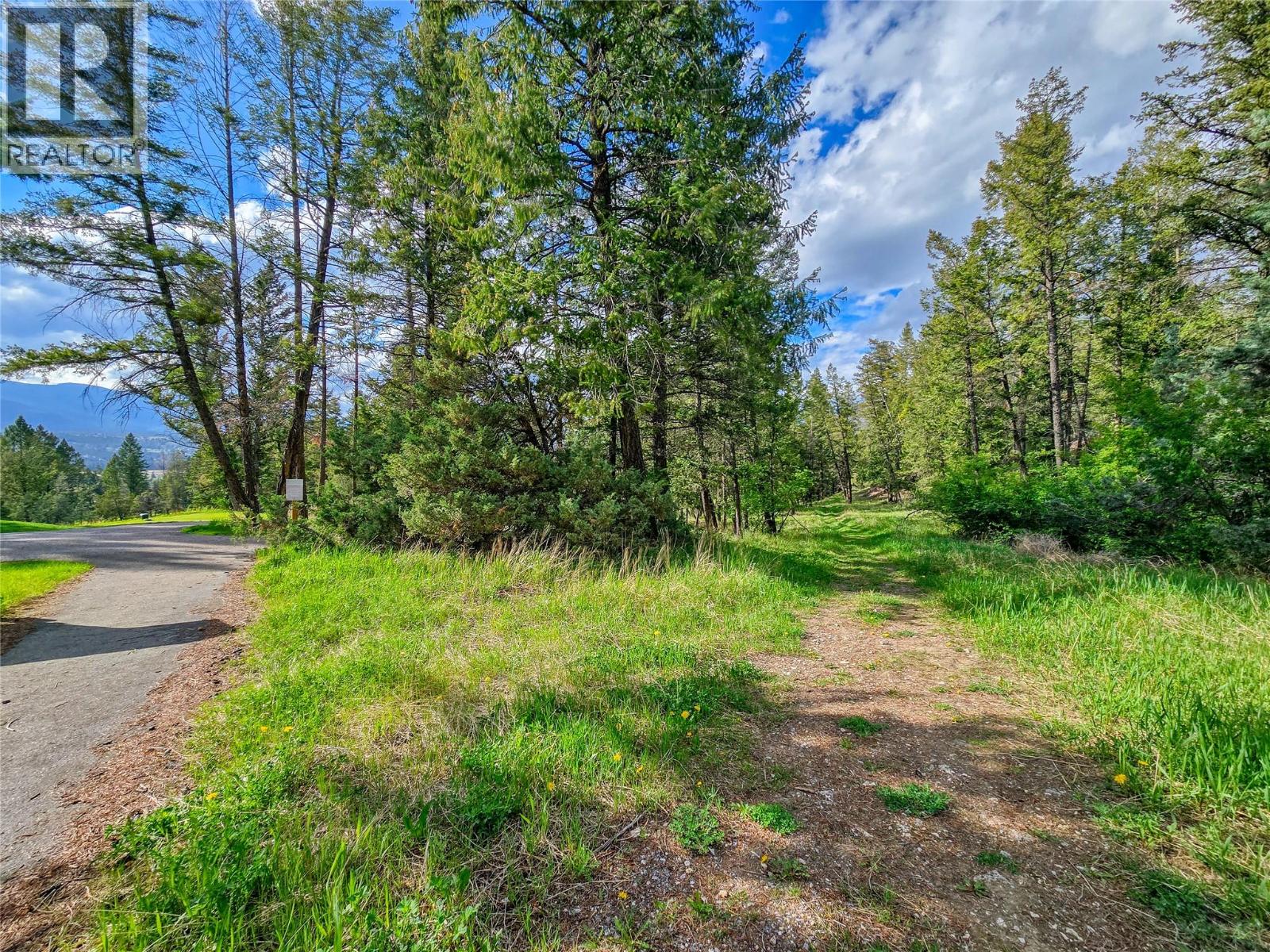 5060 Hot Springs Road, Fairmont Hot Springs, British Columbia  V0B 1L1 - Photo 21 - 10387036