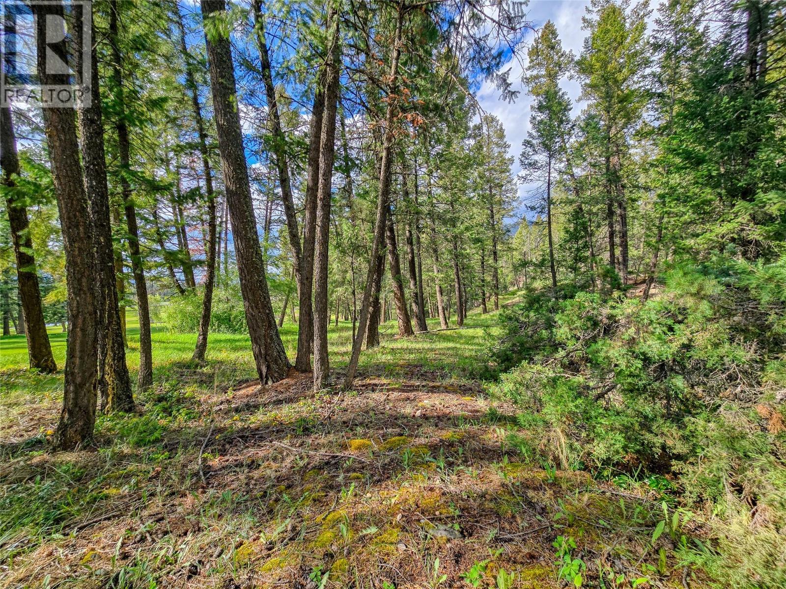 5060 Hot Springs Road, Fairmont Hot Springs, British Columbia  V0B 1L1 - Photo 23 - 10387036