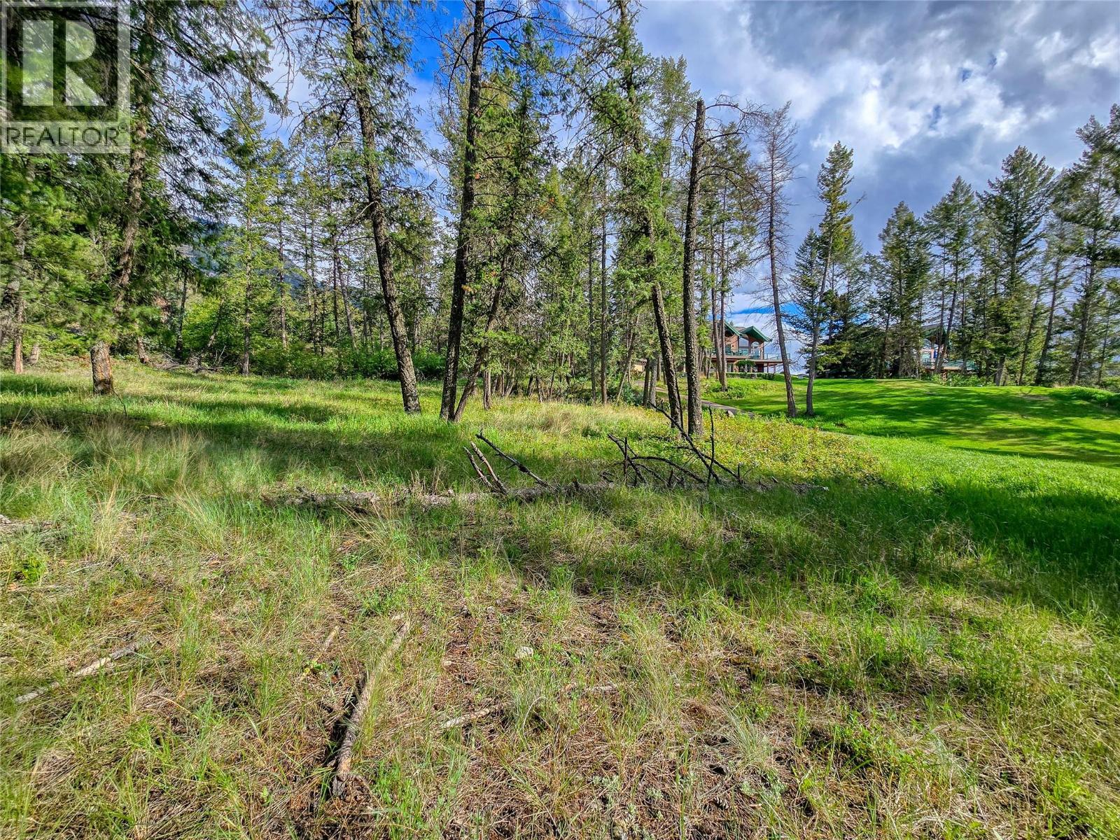 5060 Hot Springs Road, Fairmont Hot Springs, British Columbia  V0B 1L1 - Photo 24 - 10387036