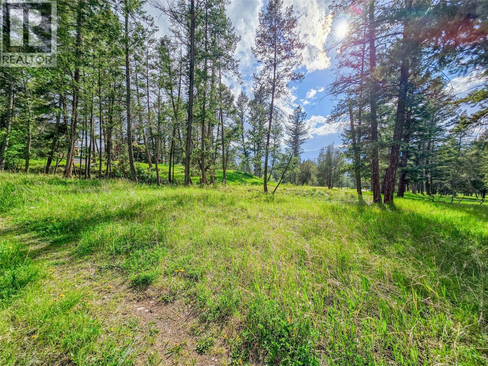 5060 Hot Springs Road, Fairmont Hot Springs, British Columbia  V0B 1L1 - Photo 25 - 10387036