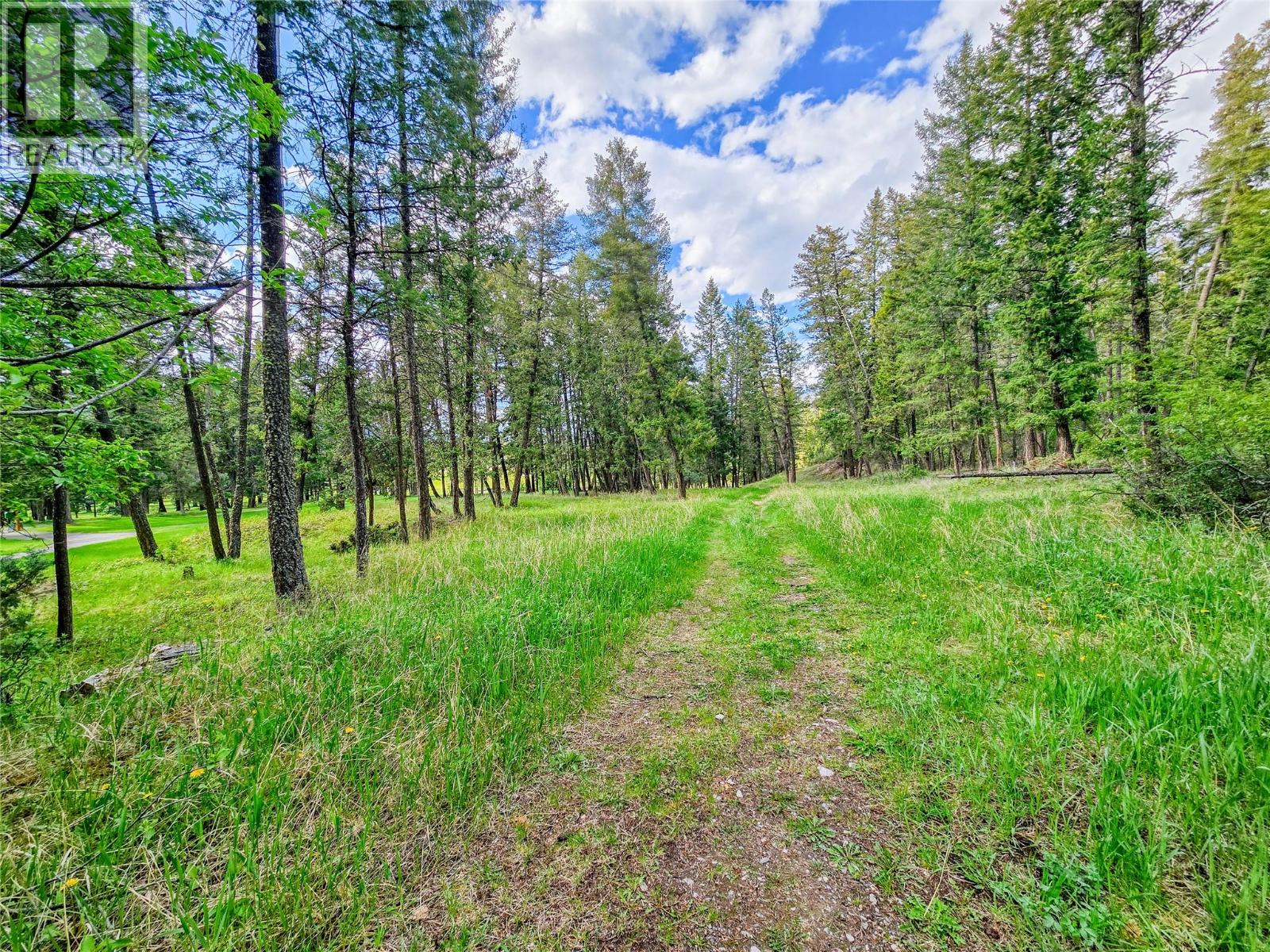 5060 Hot Springs Road, Fairmont Hot Springs, British Columbia  V0B 1L1 - Photo 26 - 10387036