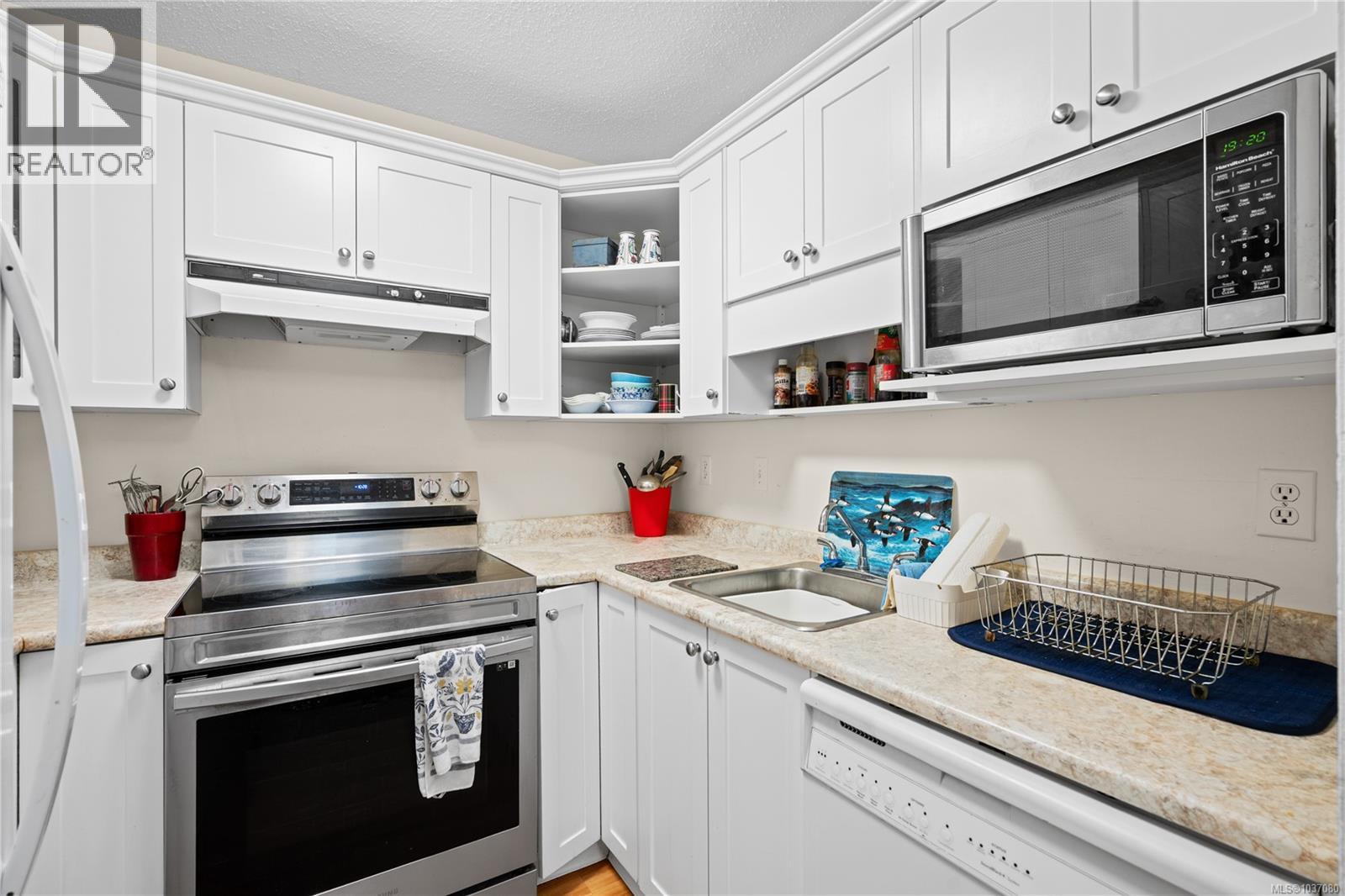406 1433 Faircliff Lane, Victoria, British Columbia  V8S 3J6 - Photo 18 - 1037080