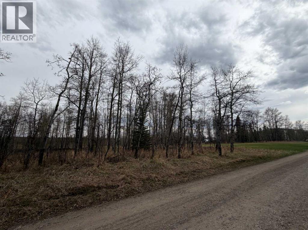 209 2 Street NE, Sundre, Alberta  T0M 1X0 - Photo 43 - A2305673