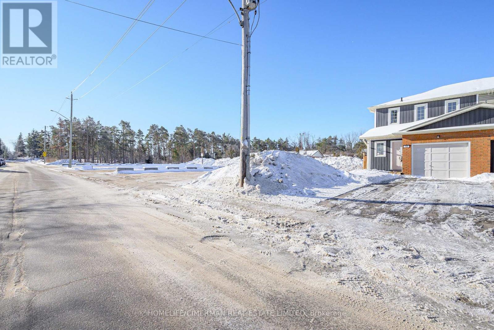 123 Albert Street S, Kawartha Lakes, Ontario  K9V 6G1 - Photo 3 - X13137206