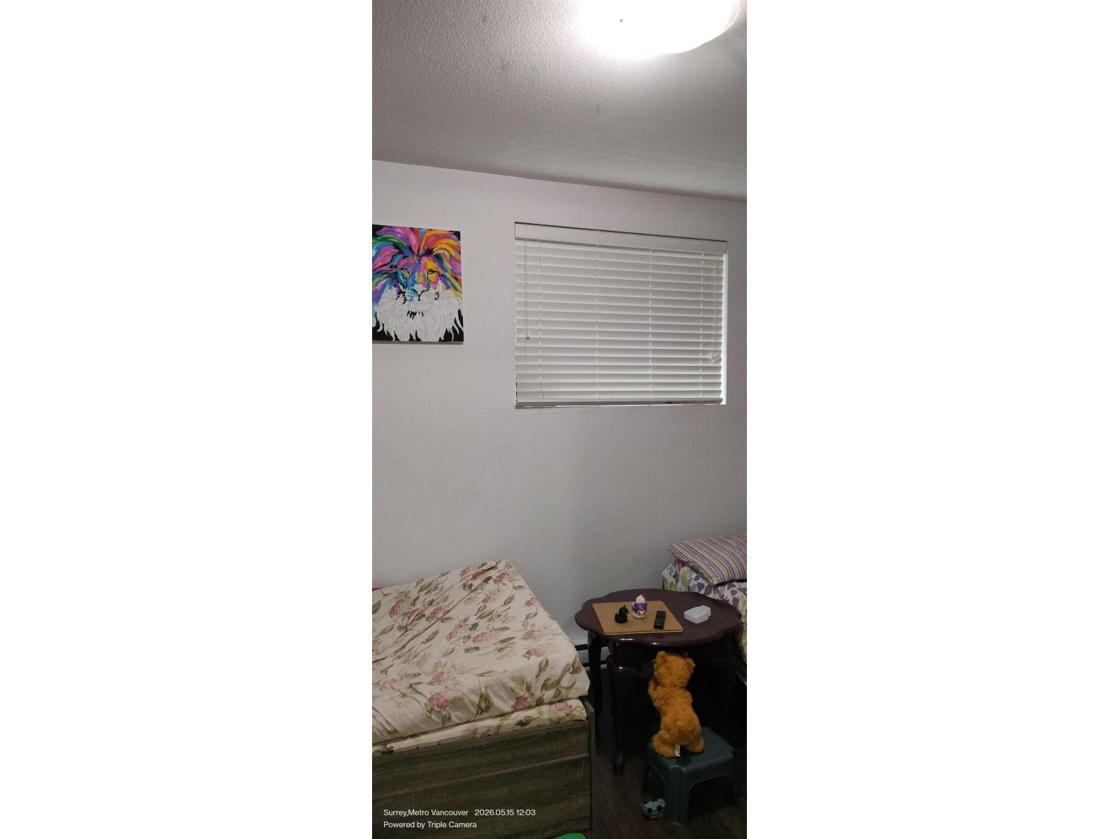 46 8130 136a Street, Surrey, British Columbia  V3W 1H9 - Photo 27 - R3124403