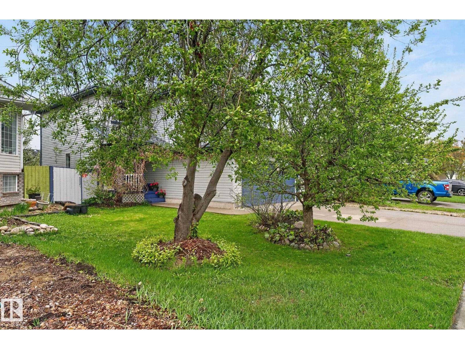 316 Wild Rose Wy Nw, Edmonton, Alberta  T6T 1M7 - Photo 6 - E4488181