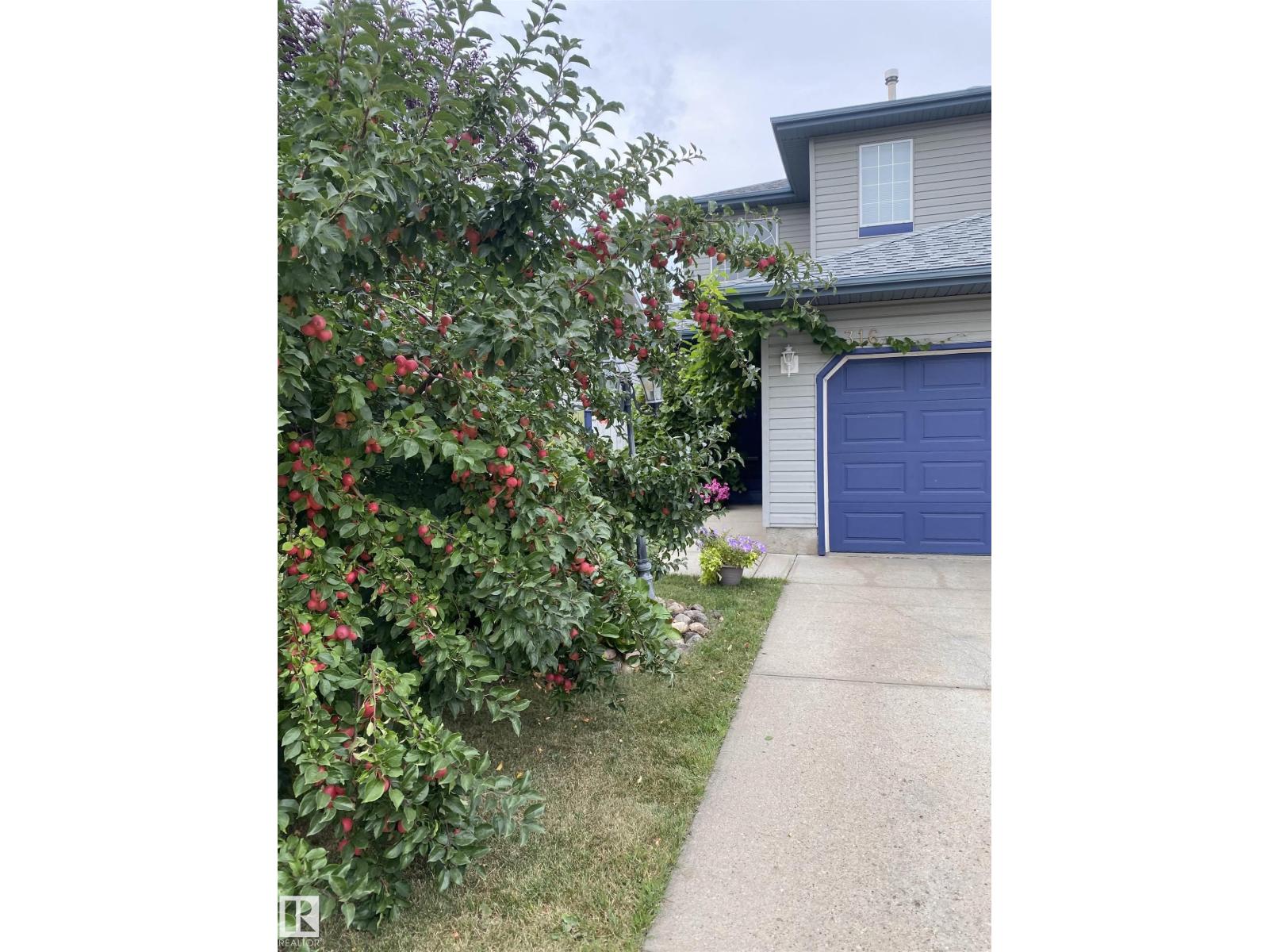 316 Wild Rose Wy Nw, Edmonton, Alberta  T6T 1M7 - Photo 63 - E4488181