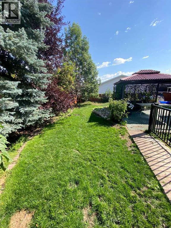 5508 49 Avenue, Alix, Alberta  T0C 0B0 - Photo 16 - A2301189