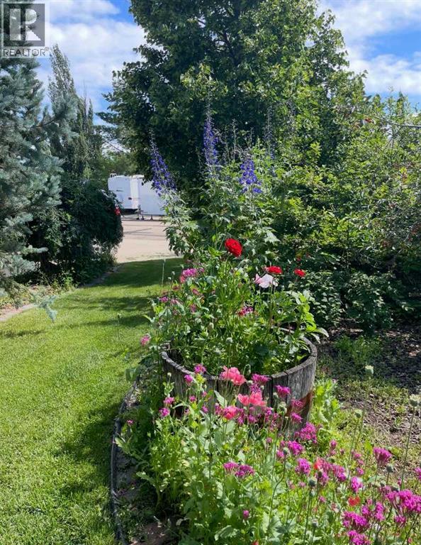 5508 49 Avenue, Alix, Alberta  T0C 0B0 - Photo 11 - A2301189