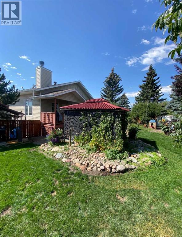 5508 49 Avenue, Alix, Alberta  T0C 0B0 - Photo 7 - A2301189