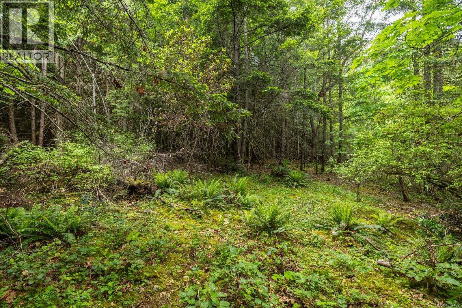 8278 Thomson Pl, Central Saanich, British Columbia  V8M 1S1 - Photo 4 - 1037132