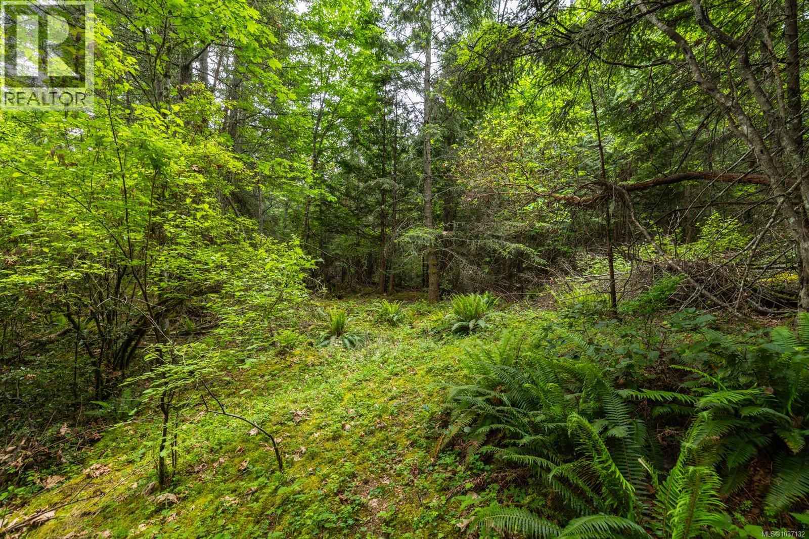 8278 Thomson Pl, Central Saanich, British Columbia  V8M 1S1 - Photo 6 - 1037132