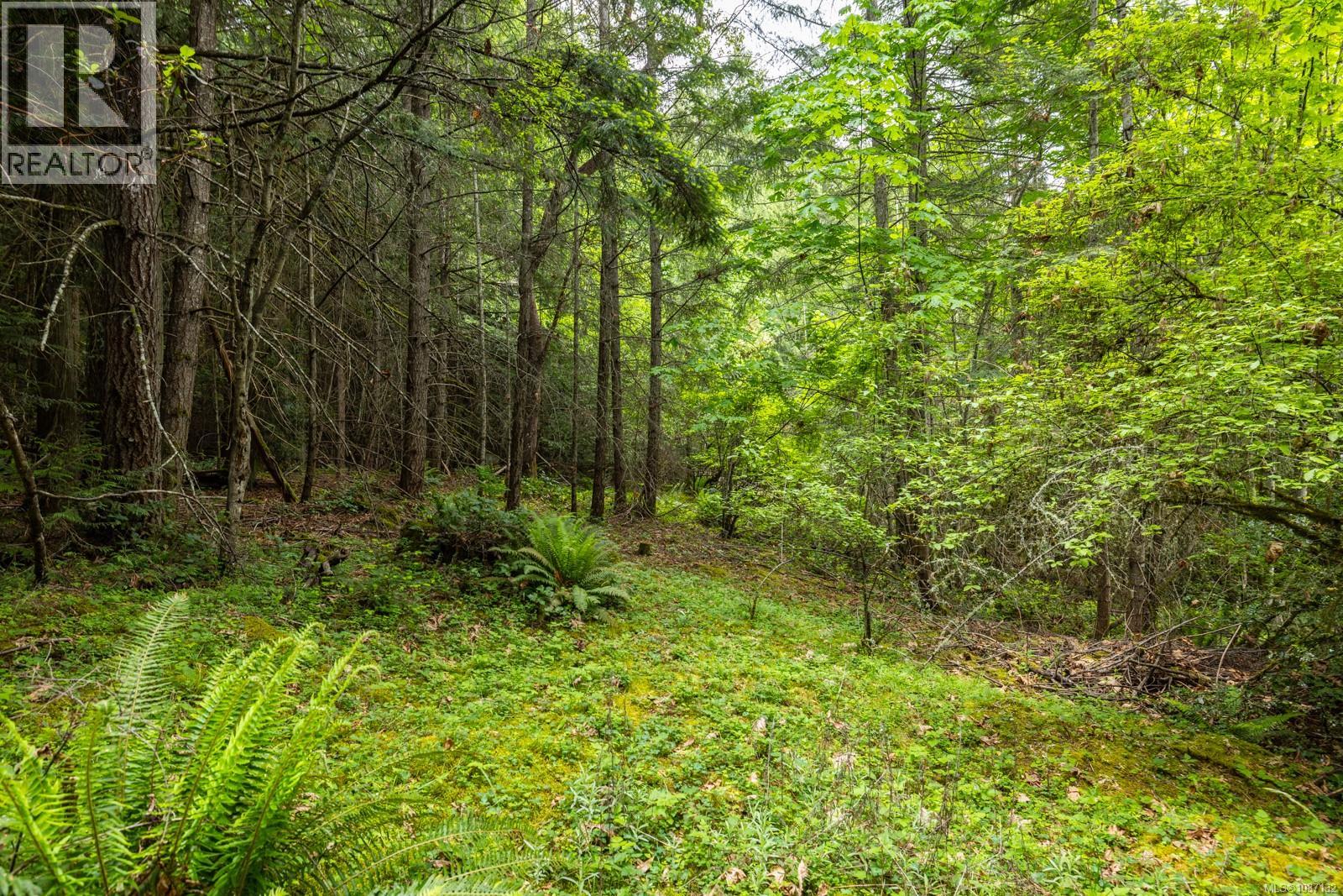 8278 Thomson Pl, Central Saanich, British Columbia  V8M 1S1 - Photo 5 - 1037132