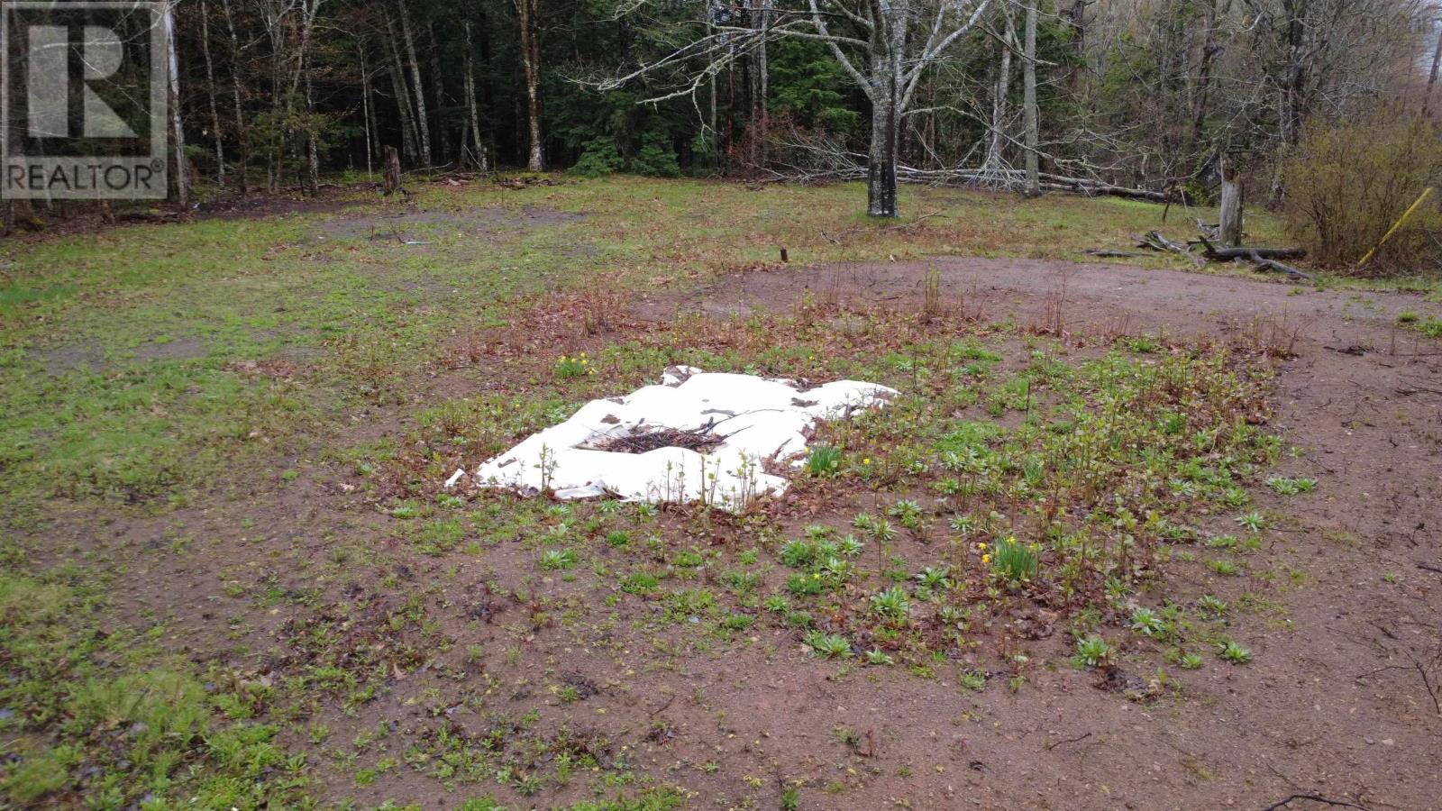 Lot 142 Condon Road, Scotsburn, Nova Scotia  B0K 1R0 - Photo 12 - 202611136
