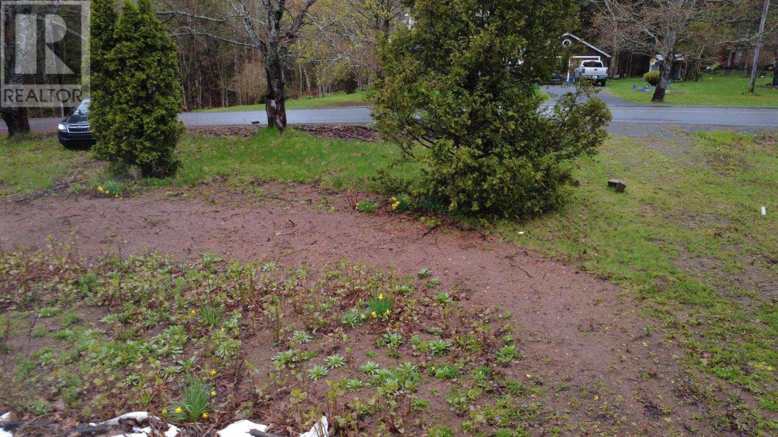 Lot 142 Condon Road, Scotsburn, Nova Scotia  B0K 1R0 - Photo 14 - 202611136